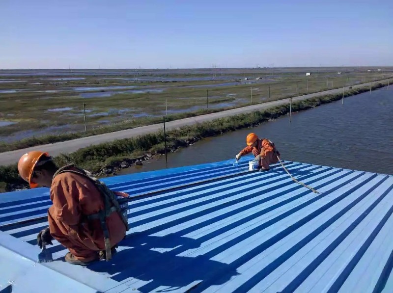 长清钢结构屋面漏水原因